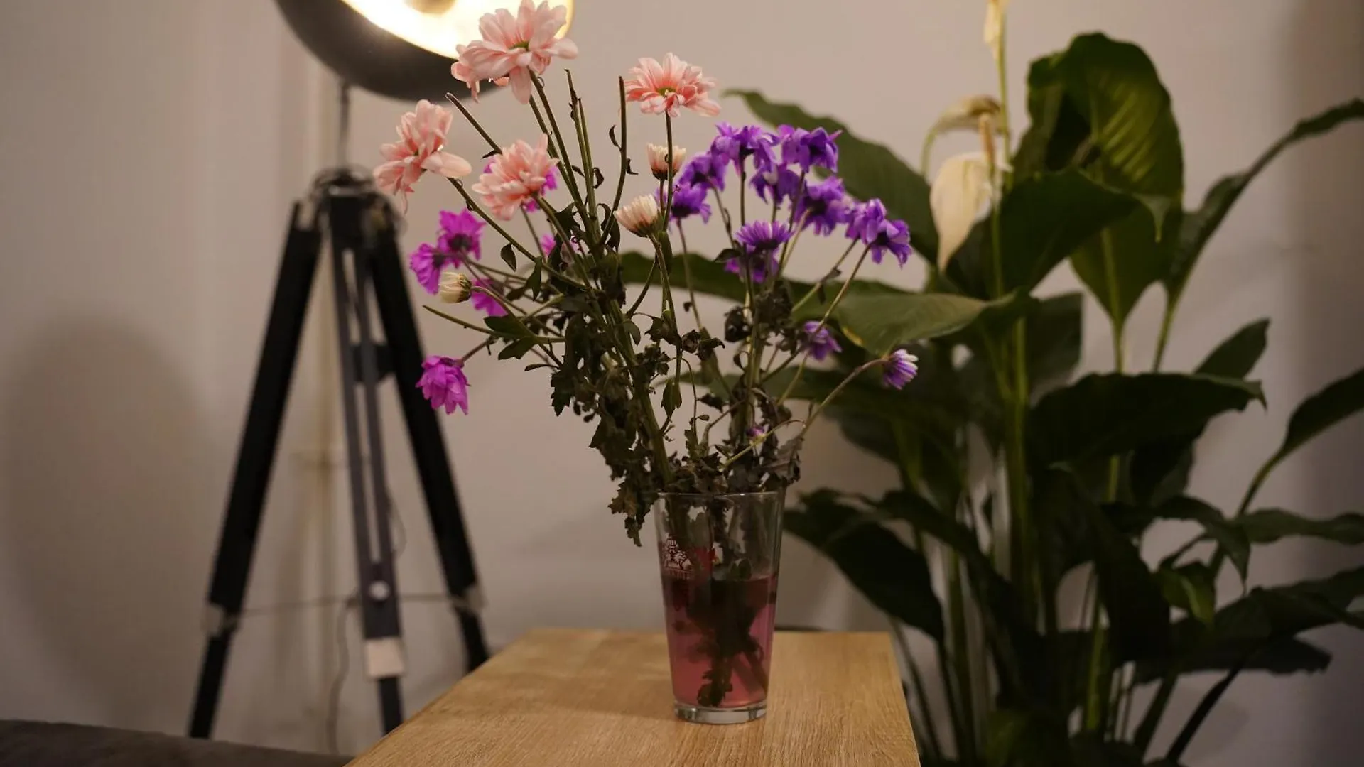 Apartmanhotel Appartement Im Szenekiez Berlin